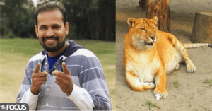 जब यूसुफ पठान का हुआ ‘शेर’ से आमना-सामना, सोशल मीडिया पर वायरल हो रहा धमाकेदार VIDEO