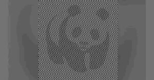 अगर आप हैं जानकार तो इस तस्वीर में खोजिए प्यारा सा जानवर, 7 सेकंड में खोज कर बना डालें रिकॉर्ड