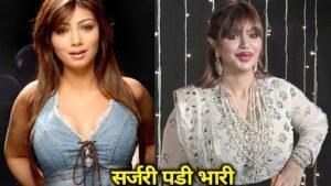 इन अभिनेत्रियों ने सुंदर दिखने के लिए करवाई प्राइवेट पार्ट की सर्जरी