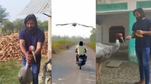 सारस से जुदा होने पर फूट-फुट कर रो पड़े आरिफ, कहा – ‘मैं खुद चाहता था, वह चला जाए’..