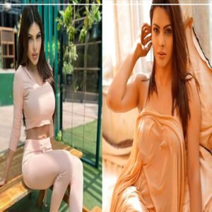 पैसों के लिए लोगों के साथ रात गुजार चुकी हैं शर्लिन चोपड़ा? अब खुद इस बयान के पीछे का खोला राज