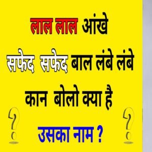 लाल लाल आंखे सफेद सफेद बाल लंबे लंबे कान बोलो क्या है उसका नाम ? | 15 Paheliyan