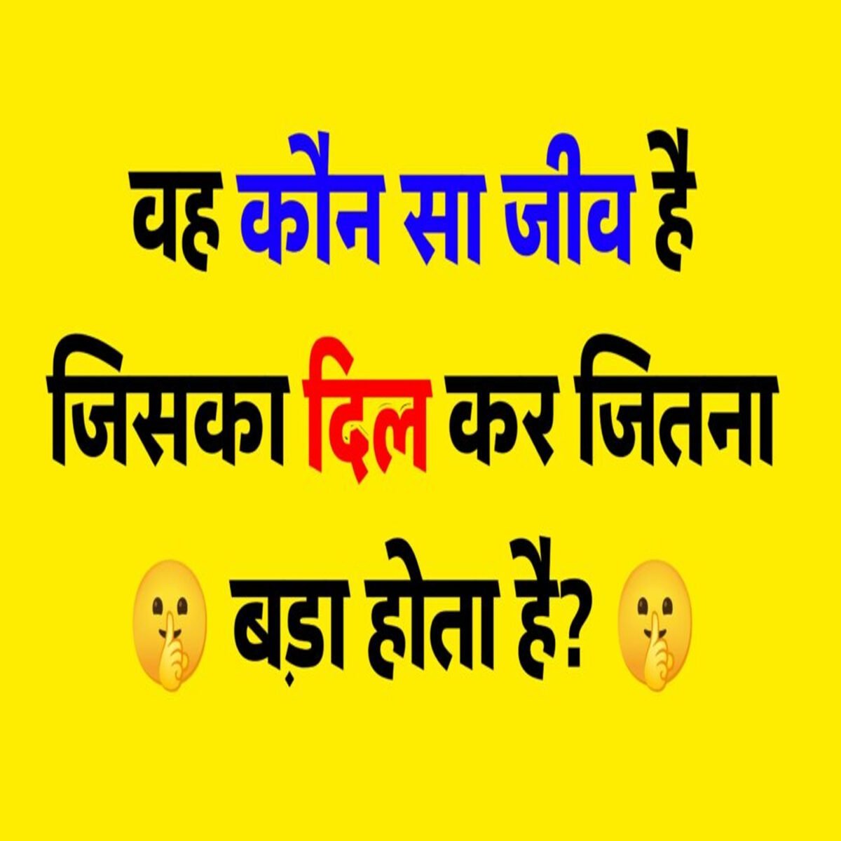 वह कौन सा जीव है जिसका दिल कार जितना बड़ा होता है? ?.