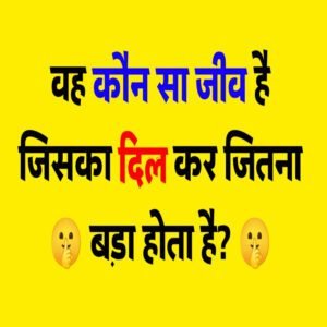वह कौन सा जीव है जिसका दिल कार जितना बड़ा होता है? | GK in Hindi – One Liners
