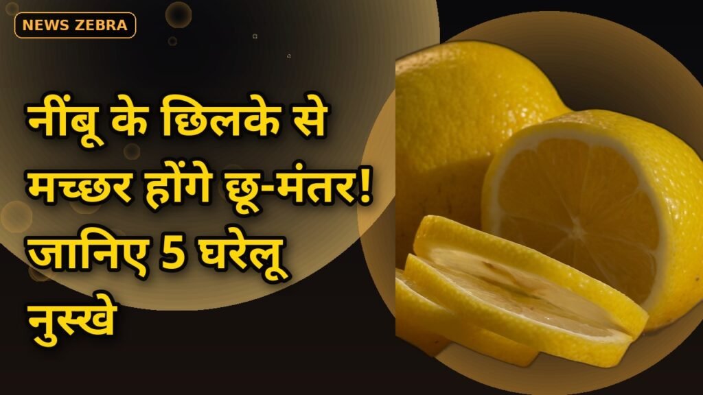 बिना केमिकल के घर से भागेंगे मच्छर, सिर्फ नींबू के छिलके से मच्छर भगाने के 5 घरेलू नुस्खे, रिसर्च में भी मिला असर