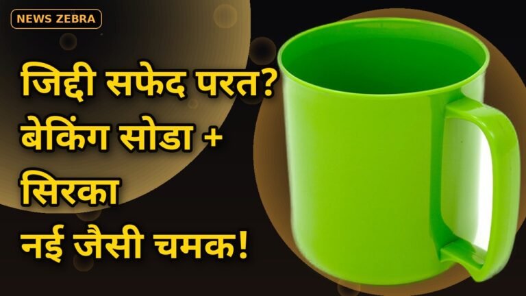 पुराने मग्गे पर जमी जिद्दी सफेद परत? बेकिंग सोडा और सिरके के इन 3 घरेलू नुस्खों से लौटाएं नई जैसी चमक, जानिए पूरा तरीका