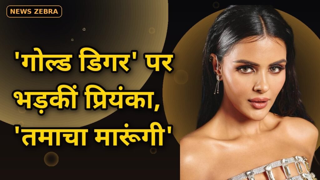 राइज एंड फॉल 2 में बवाल, शहजाद पूनावाला ने प्रियंका चाहर चौधरी को कहा 'गोल्ड डिगर', भड़कीं एक्ट्रेस बोलीं, 'तमाचा मारूंगी'